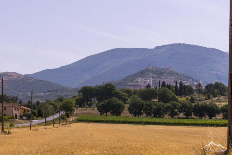 al piave di fretta prendi la bicicletta